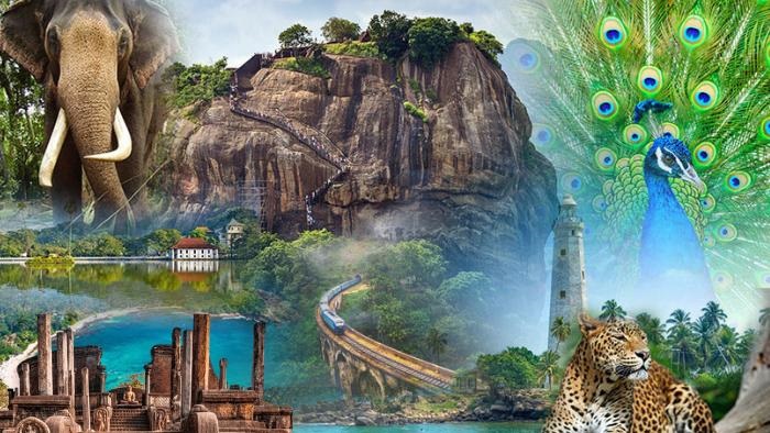 Sri Lankan landscape